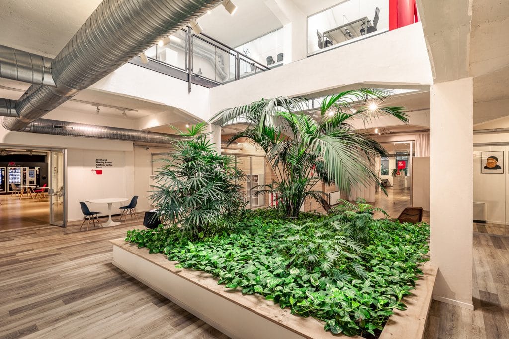 Zona verde interna con piante tropicali al centro di uno spazio coworking luminoso.