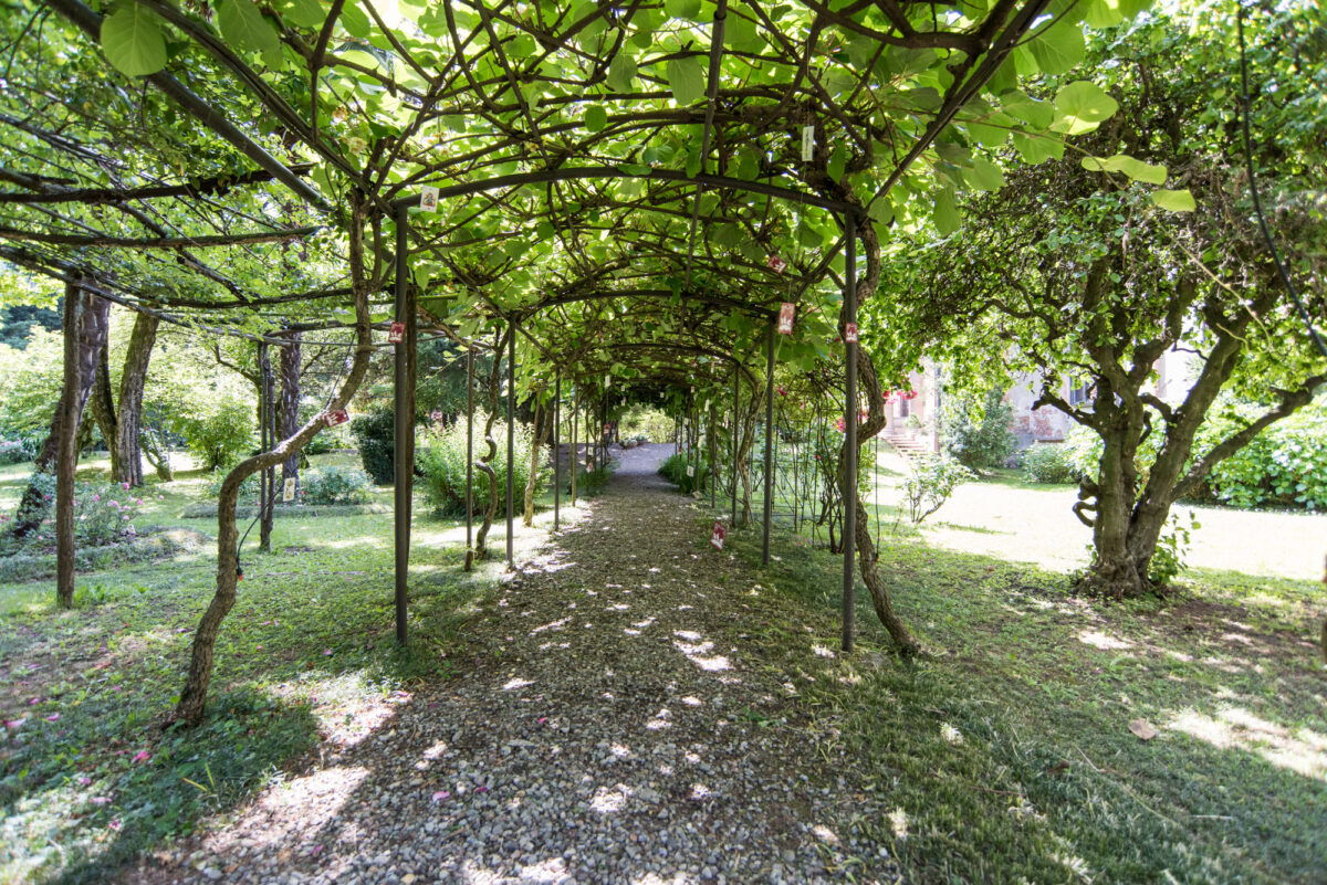 Pergolato verde per cerimonie o aperitivi